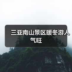 三亚南山景区暖冬游人气旺（图1）