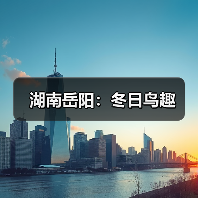 湖南岳阳：冬日鸟趣（图4）