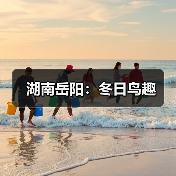 湖南岳阳：冬日鸟趣（图2）