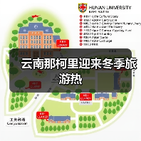 云南那柯里迎来冬季旅游热（图2）