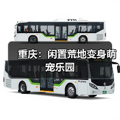 重庆：闲置荒地变身萌宠乐园（图3）