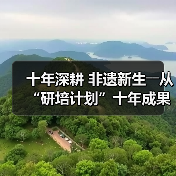 十年深耕 非遗新生――从“研培计划”十年成果展看非遗传承的探索与突破(图2) 十年深耕 非遗新生――从“研培计划”十年成果展看非遗传承的探索与突破(图2)