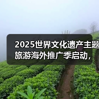 2025世界文化遗产主题旅游海外推广季启动,展示中国“世遗”之美(图4) 2025世界文化遗产主题旅游海外推广季启动,展示中国“世遗”之美(图4)