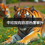 中欧双向旅游热度攀升（图2）