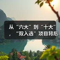 从“六大”到“十大”，“双入选”项目背后的文化密码（图2）