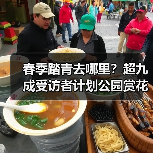 春季踏青去哪里？超九成受访者计划公园赏花（图3）