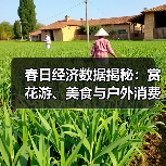 春日经济数据揭秘：赏花游、美食与户外消费如何引爆市场活力？（图3）