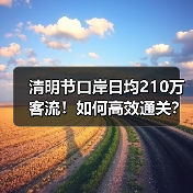 清明节口岸日均210万客流！如何高效通关？（图2）