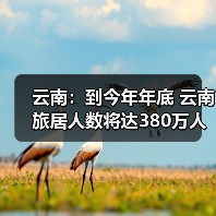 云南：到今年年底 云南旅居人数将达380万人