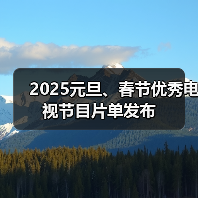 2025元旦春节电视节目推荐：精彩视听盛宴一览-辰飞雨峰峦文旅景区网