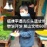 南岛语族文化交流新起点 壳丘头遗址博物馆开馆助力文化研究-辰飞雨峰峦文旅景区网
