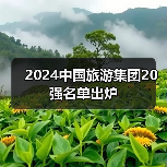 2024中国旅游集团20强名单出炉（图3）