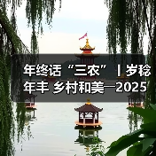 年终话“三农”丨岁稔年丰 乡村和美――2025，共绘乡村振兴新“丰”景