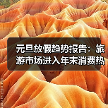 元旦放假趋势报告：旅游市场进入年末消费热季（图3）