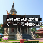 良种良技良法助力来年好“丰”景 特色农业开启乡村振兴“新引擎”(图2) 良种良技良法助力来年好“丰”景 特色农业开启乡村振兴“新引擎”(图2)