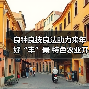 良种良技良法助力来年好“丰”景 特色农业开启乡村振兴“新引擎”