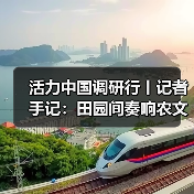 活力中国调研行丨记者手记：田园间奏响农文旅交响曲