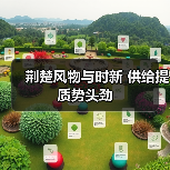 荆楚风物与时新 供给提质势头劲（图4）