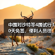 中国对沙特等4国试行30天免签,便利人员往来(图3) 中国对沙特等4国试行30天免签,便利人员往来(图3)