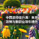 中国游持续升温!免签政策与新职业吸引境外游客(图2) 中国游持续升温!免签政策与新职业吸引境外游客(图2)