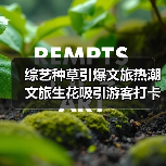 综艺节目如何带动地方文旅发展？看综艺打开旅游新路径-辰飞雨峰峦文旅景区网