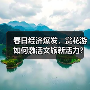 春日经济爆发，赏花游如何激活文旅新活力？（图3）