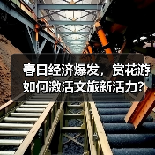 春日经济爆发，赏花游如何激活文旅新活力？（图4）