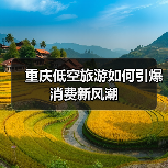 重庆低空旅游如何引爆消费新风潮(图2) 重庆低空旅游如何引爆消费新风潮(图2)