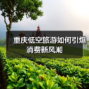 重庆低空旅游如何引爆消费新风潮(图3) 重庆低空旅游如何引爆消费新风潮(图3)