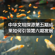 中华文明探源工程第六期如何推进？成果与未来方向揭秘-辰飞雨峰峦文旅景区网