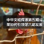 中华文明探源第五期成果如何引领第六期发展?(图2) 中华文明探源第五期成果如何引领第六期发展?(图2)