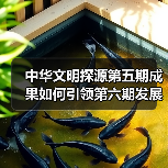 中华文明探源第五期成果如何引领第六期发展?(图3) 中华文明探源第五期成果如何引领第六期发展?(图3)