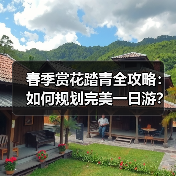 春季赏花踏青全攻略:如何规划完美一日游?(图4) 春季赏花踏青全攻略:如何规划完美一日游?(图4)