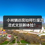小熊猫巡房如何引爆沉浸式文旅新体验？（图3）