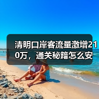清明口岸客流量激增210万,通关秘籍怎么安排?(图3) 清明口岸客流量激增210万,通关秘籍怎么安排?(图3)
