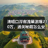 清明口岸客流量激增210万,通关秘籍怎么安排?(图4) 清明口岸客流量激增210万,通关秘籍怎么安排?(图4)