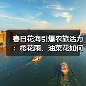 春日花海引爆农旅活力:樱花雨、油菜花如何引领赏花热潮?(图2) 春日花海引爆农旅活力:樱花雨、油菜花如何引领赏花热潮?(图2)