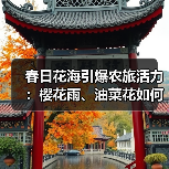 春日花海引爆农旅活力:樱花雨、油菜花如何引领赏花热潮?(图3) 春日花海引爆农旅活力:樱花雨、油菜花如何引领赏花热潮?(图3)