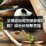 文博游如何突破参观局限?延长体验新思路(图4) 文博游如何突破参观局限?延长体验新思路(图4)