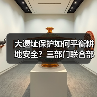 大遗址保护如何平衡耕地安全?三部门联合部署用地保障新举措(图2) 大遗址保护如何平衡耕地安全?三部门联合部署用地保障新举措(图2)