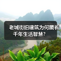 老街为何成为城市文化传承的缩影？四合院的现代意义解析-辰飞雨峰峦文旅景区网