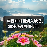 春节旅游新趋势：入境游爆增203%背后的中国年味之旅-辰飞雨峰峦文旅景区网