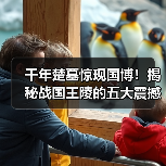 千年楚墓惊现国博！揭秘战国王陵的五大震撼发现