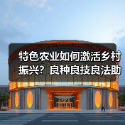 特色农业如何激活乡村振兴？良种良技良法助丰收
