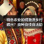 特色农业如何激活乡村振兴?良种良技良法助丰收(图4) 特色农业如何激活乡村振兴?良种良技良法助丰收(图4)