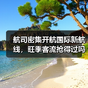 航司密集开航国际新航线,旺季客流抢得过吗?(图3) 航司密集开航国际新航线,旺季客流抢得过吗?(图3)