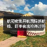 航司密集开航国际新航线,旺季客流抢得过吗?(图4) 航司密集开航国际新航线,旺季客流抢得过吗?(图4)