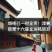 胡杨已一树金黄！泽普县第十六届金湖杨旅游文化季邀您来品