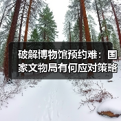 破解博物馆预约难：国家文物局有何应对策略？（图4）