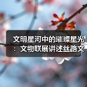 文明星河中的璀璨星光：文物联展讲述丝路文明对话